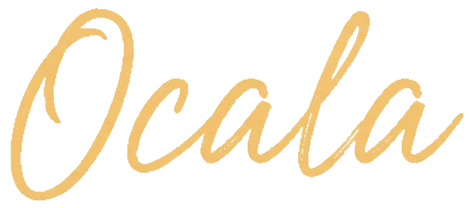 ocala brunch script text